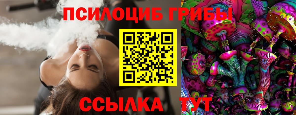 Псилоцибиновые грибы прущие грибы  Вход с VPN  Джанкой 