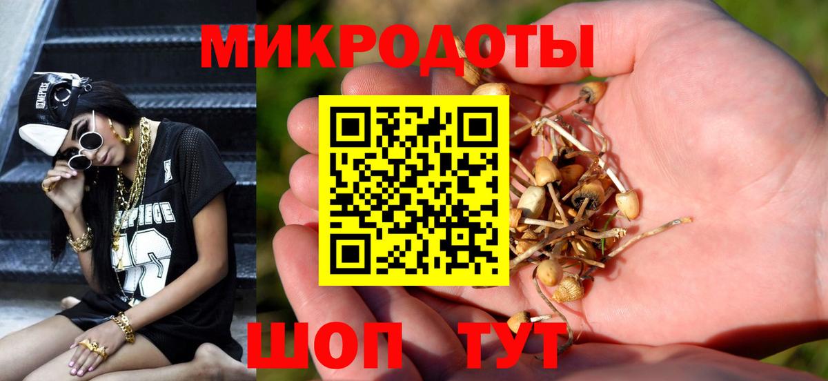 Галлюциногенные грибы Psilocybine cubensis Джанкой